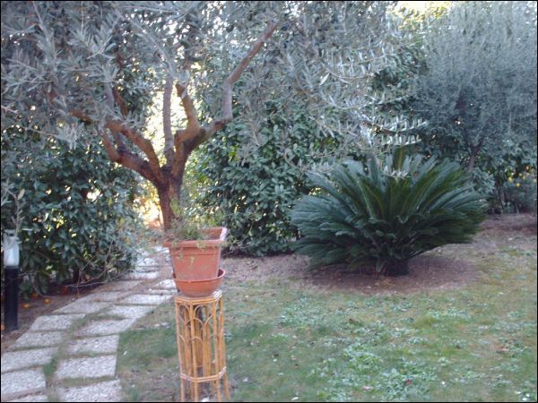 Casa indipendente in vendita a Maltignano, Caselle