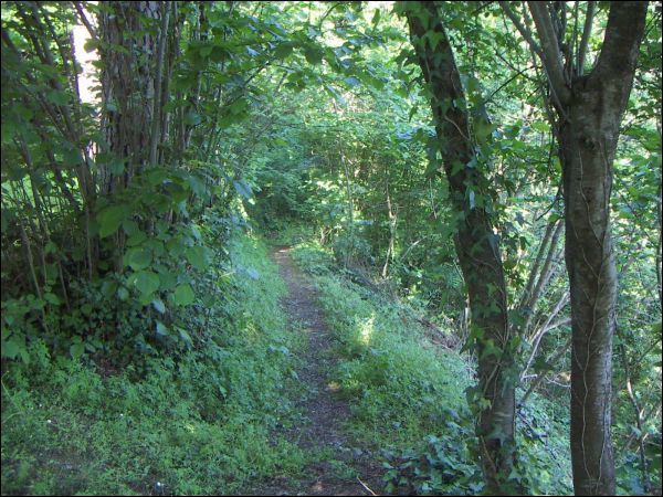 Villa d'epoca in vendita a Ascoli Piceno, Mozzano