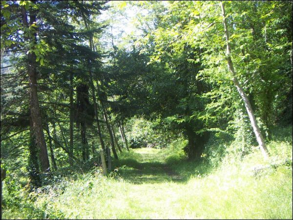 Villa d'epoca in vendita a Ascoli Piceno, Mozzano