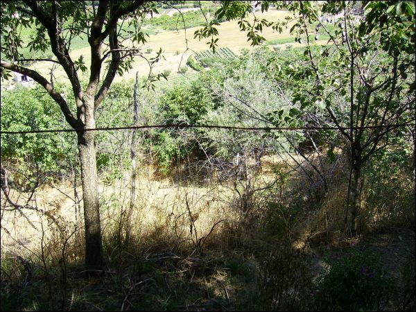 Casa indipendente in vendita a Venarotta