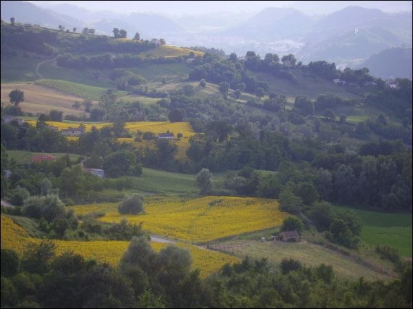 Semindipendente in vendita a Force