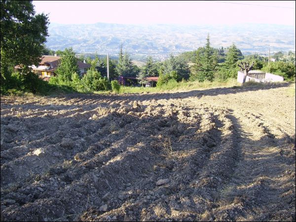 Edificabile in vendita a Ascoli Piceno, Lisciano