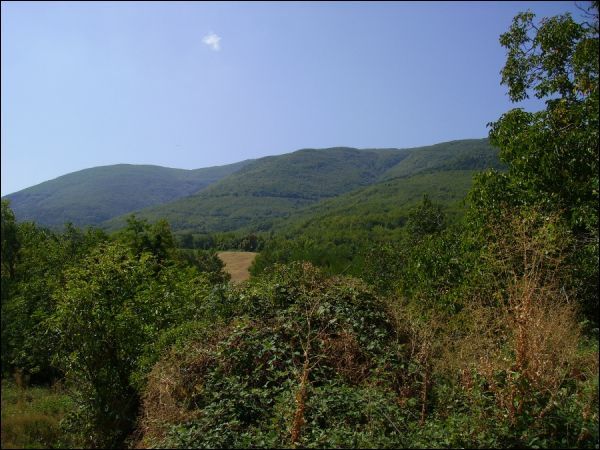 Casa colonica in vendita a Folignano