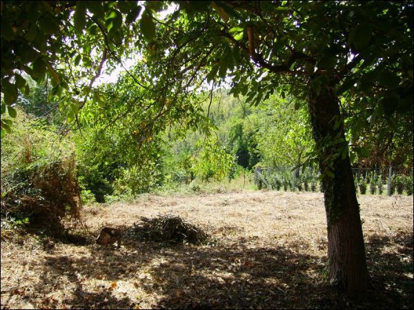 Casa colonica in vendita a Folignano