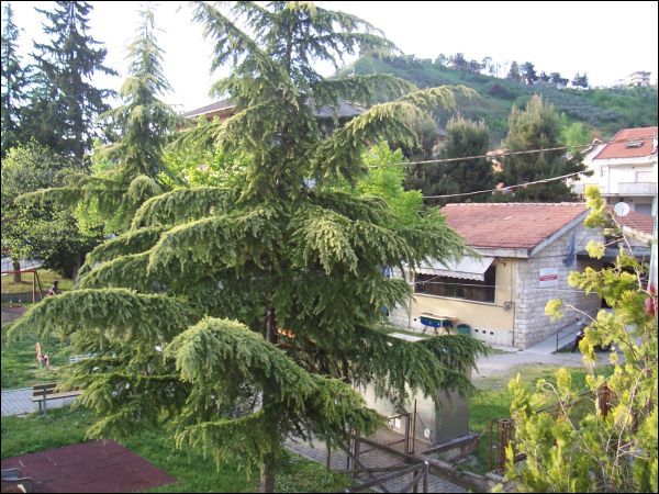 Casa indipendente in vendita a Ascoli Piceno, Brecciarolo