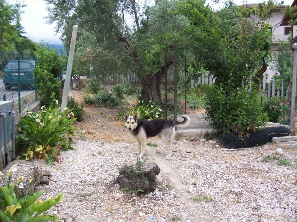 Casa indipendente in vendita a Civitella del Tronto