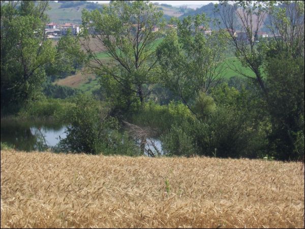 Casa indipendente in vendita a Civitella del Tronto