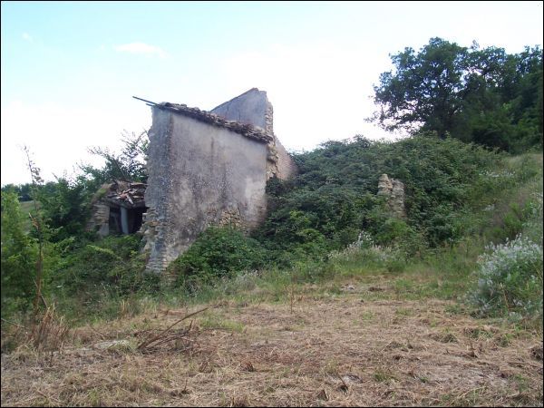 Casa colonica in vendita a Force