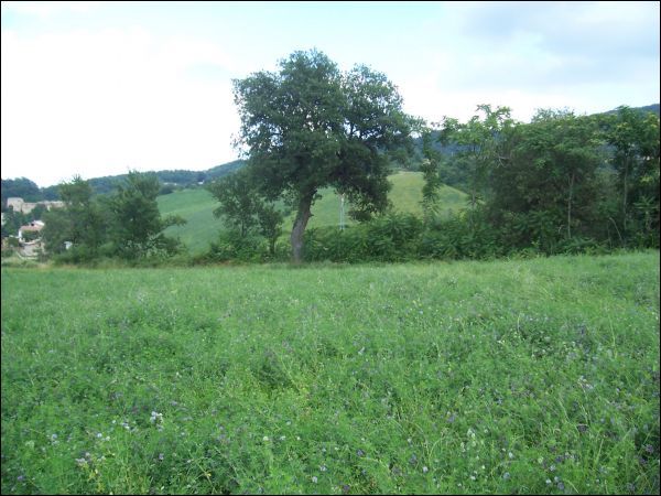 Casa colonica in vendita a Rotella