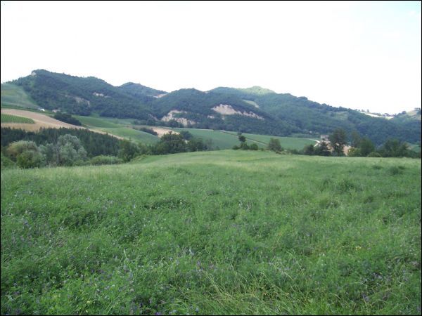 Casa colonica in vendita a Rotella