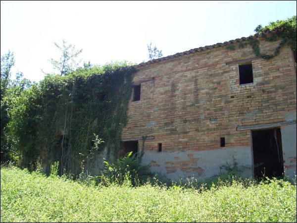 immagine annuncio 1 di 3