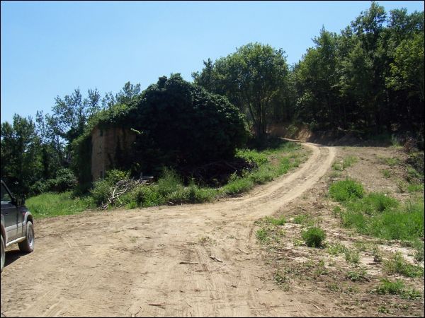 immagine annuncio 2 di 3