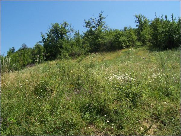 Casa colonica in vendita a Amandola