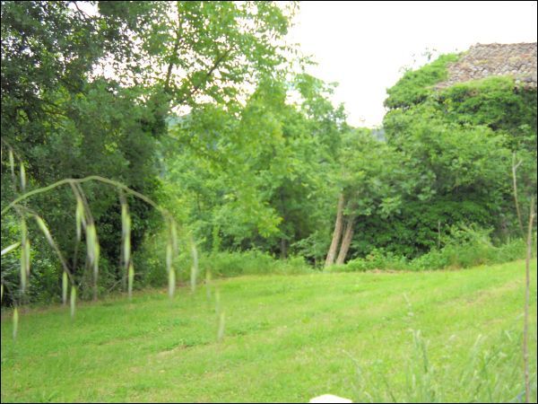 Casa colonica in vendita a Ascoli Piceno, Mozzano