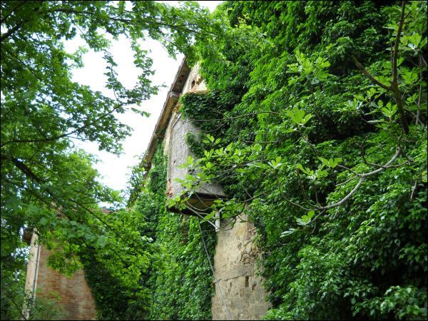 Casa colonica in vendita a Ascoli Piceno, Mozzano