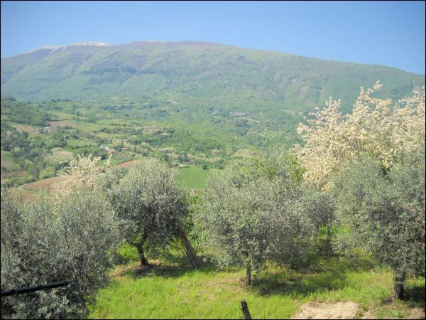 Appartamento in vendita a Folignano