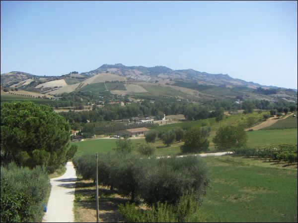 Casa colonica in vendita a Offida, Val Tesino