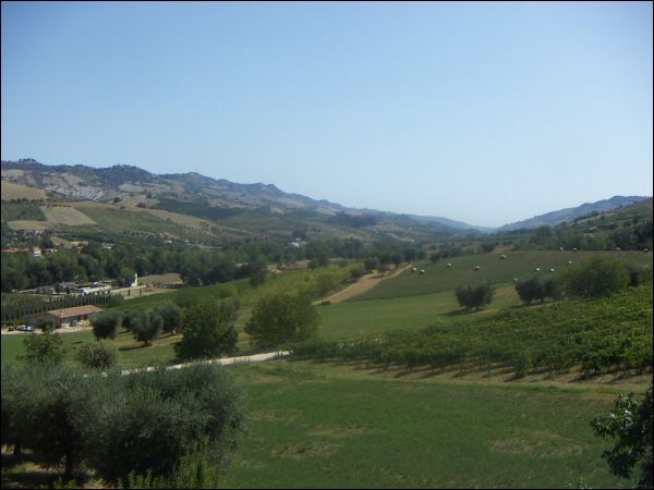 Casa colonica in vendita a Offida, Val Tesino
