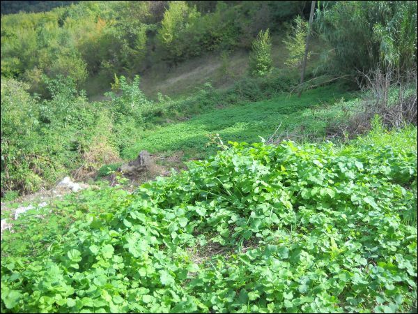 Terratetto in vendita a Ascoli Piceno, Lisciano