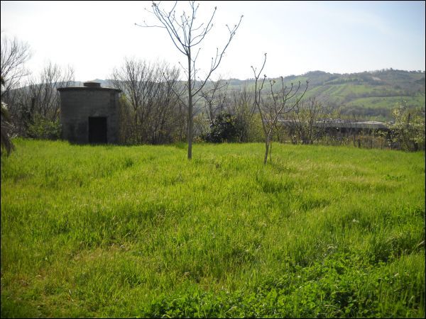 Rustico in vendita a Ascoli Piceno, Campolungo