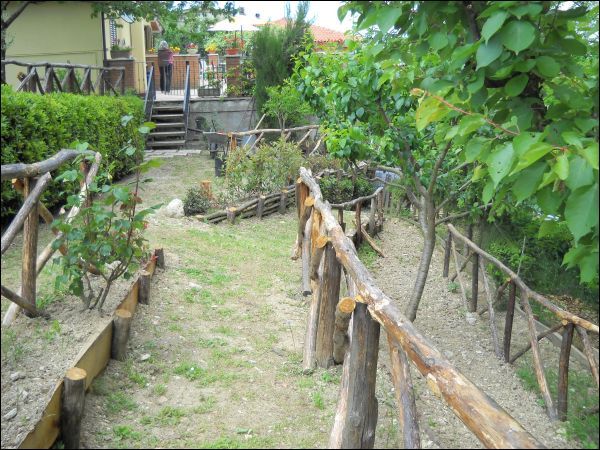 immagine annuncio 8 di 10