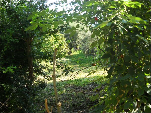 Appartamento in vendita a Ascoli Piceno, Lisciano