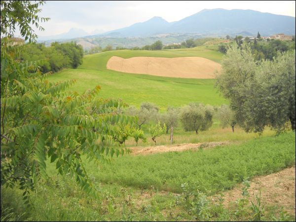 Casa colonica in vendita a Castorano