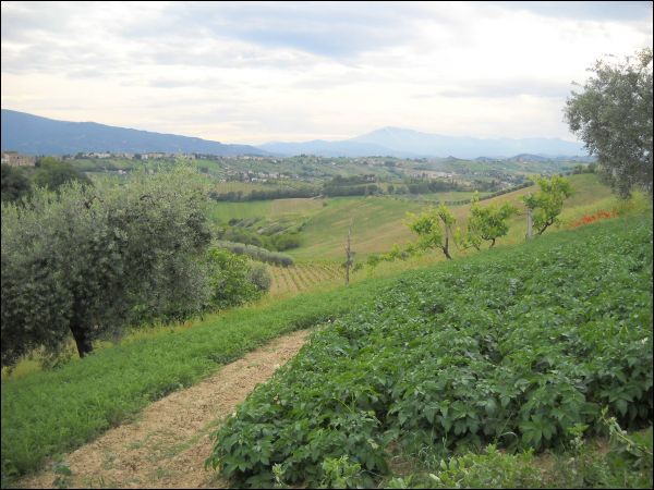 Casa colonica in vendita a Castorano
