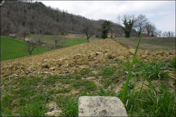 Semindipendente in vendita a Amandola