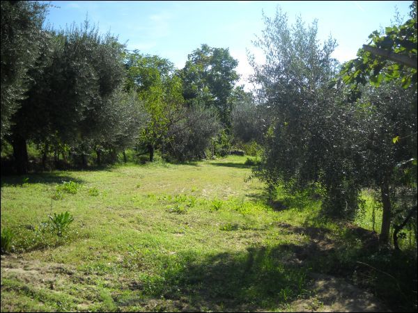 Semindipendente in vendita a Ascoli Piceno, Stadio