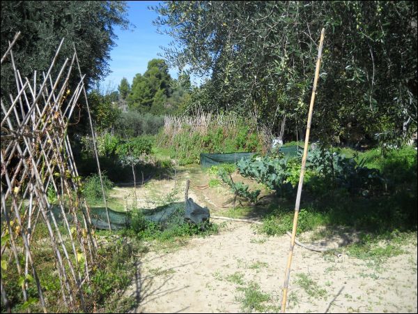 Semindipendente in vendita a Ascoli Piceno, Stadio