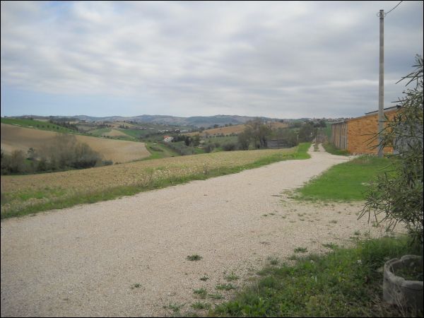 Casa colonica in vendita a Appignano del Tronto