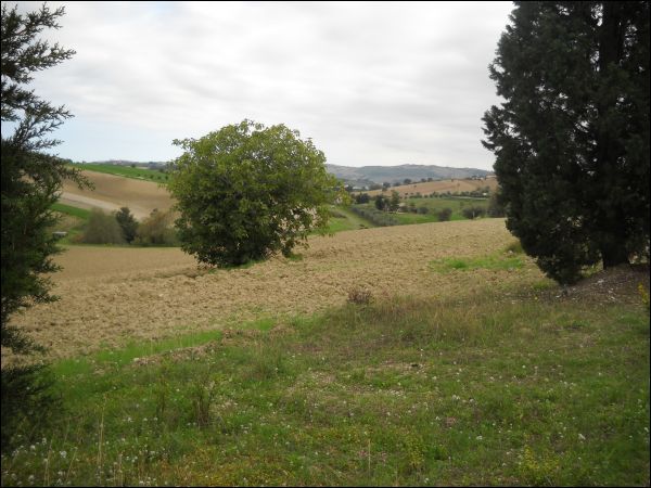 Casa colonica in vendita a Appignano del Tronto