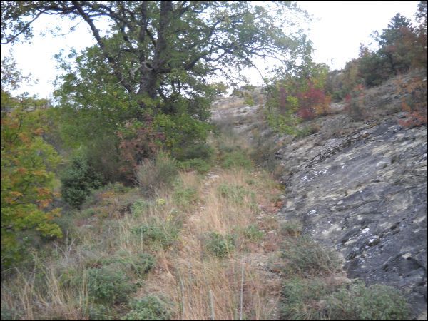 Casa colonica in vendita a Roccafluvione