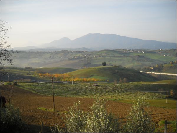 Casa colonica in vendita a Castel di Lama, alta, collina