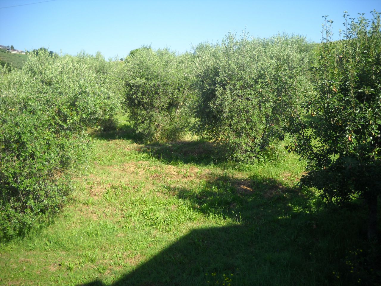 Casa indipendente in vendita a Sant'Omero, Villa Gatti