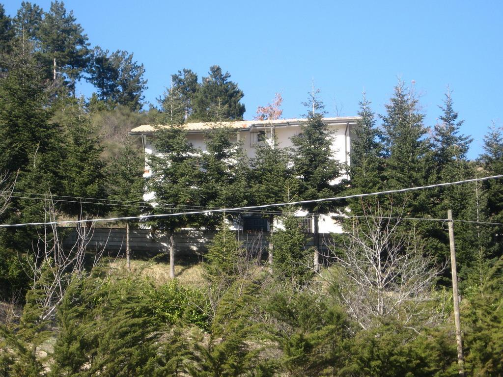 Villa in vendita a Force