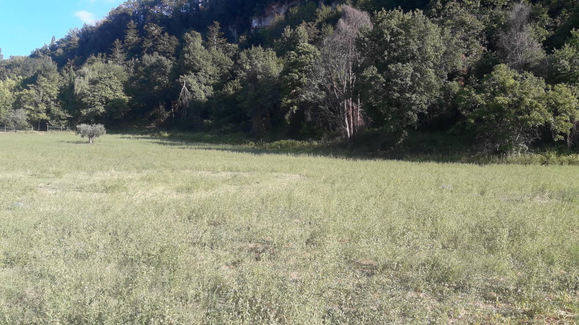 Terreno edificabile in vendita a Ascoli Piceno, Rosara