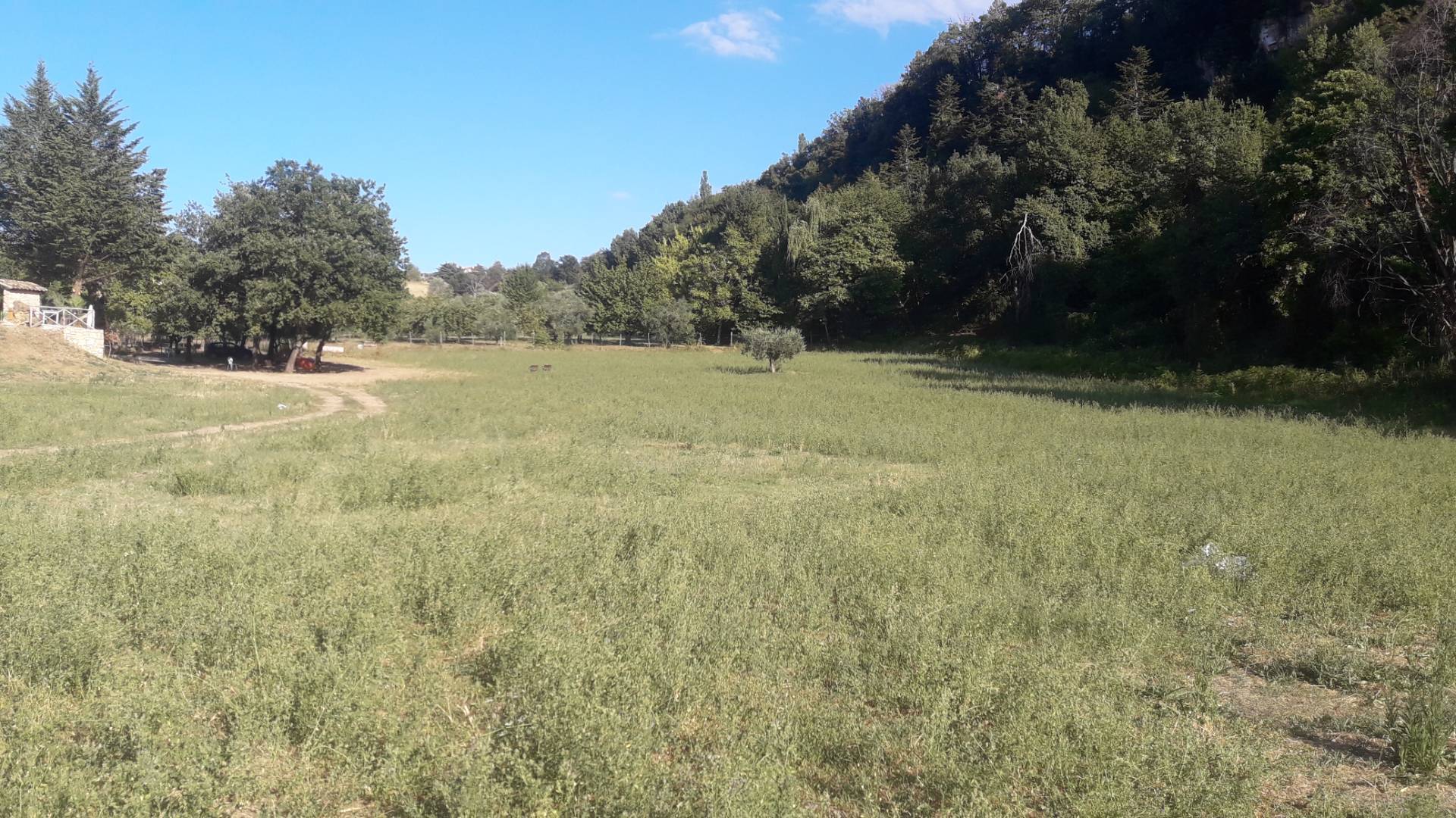 Terreno edificabile in vendita a Ascoli Piceno, Rosara