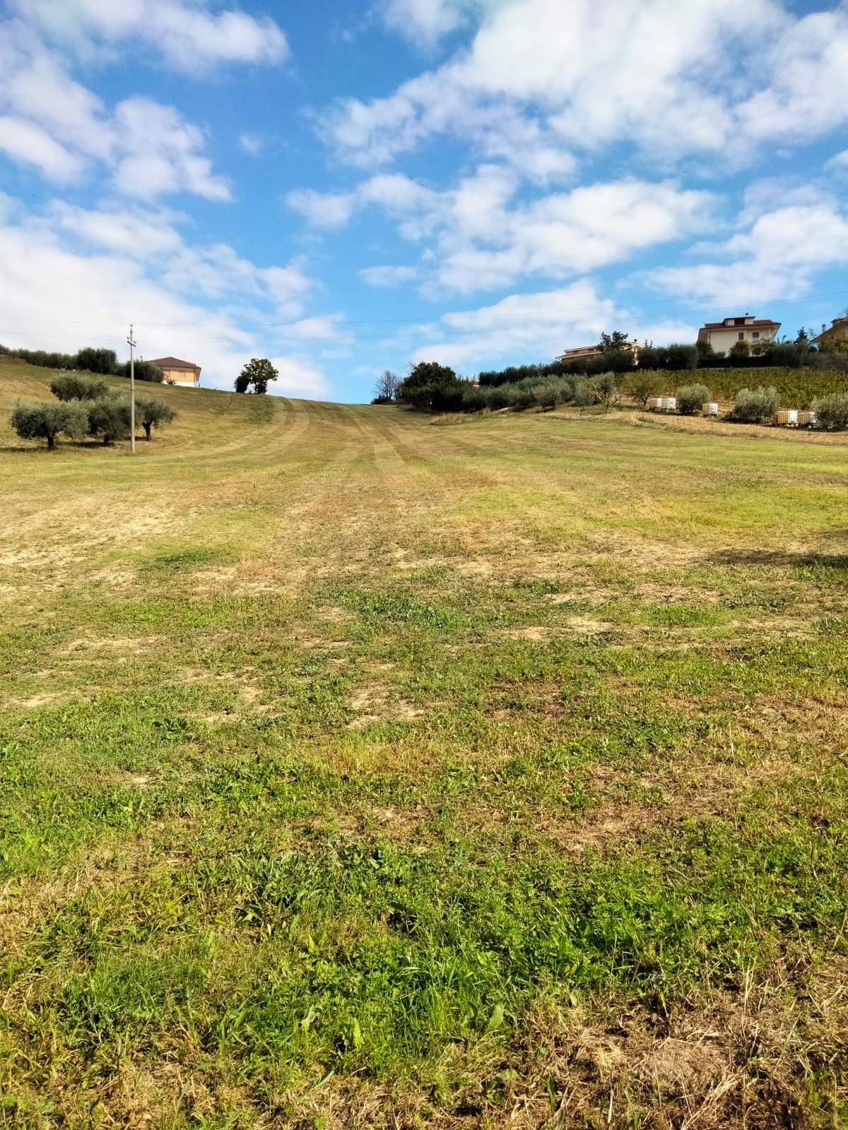 Terreno edificabile in vendita a Castorano