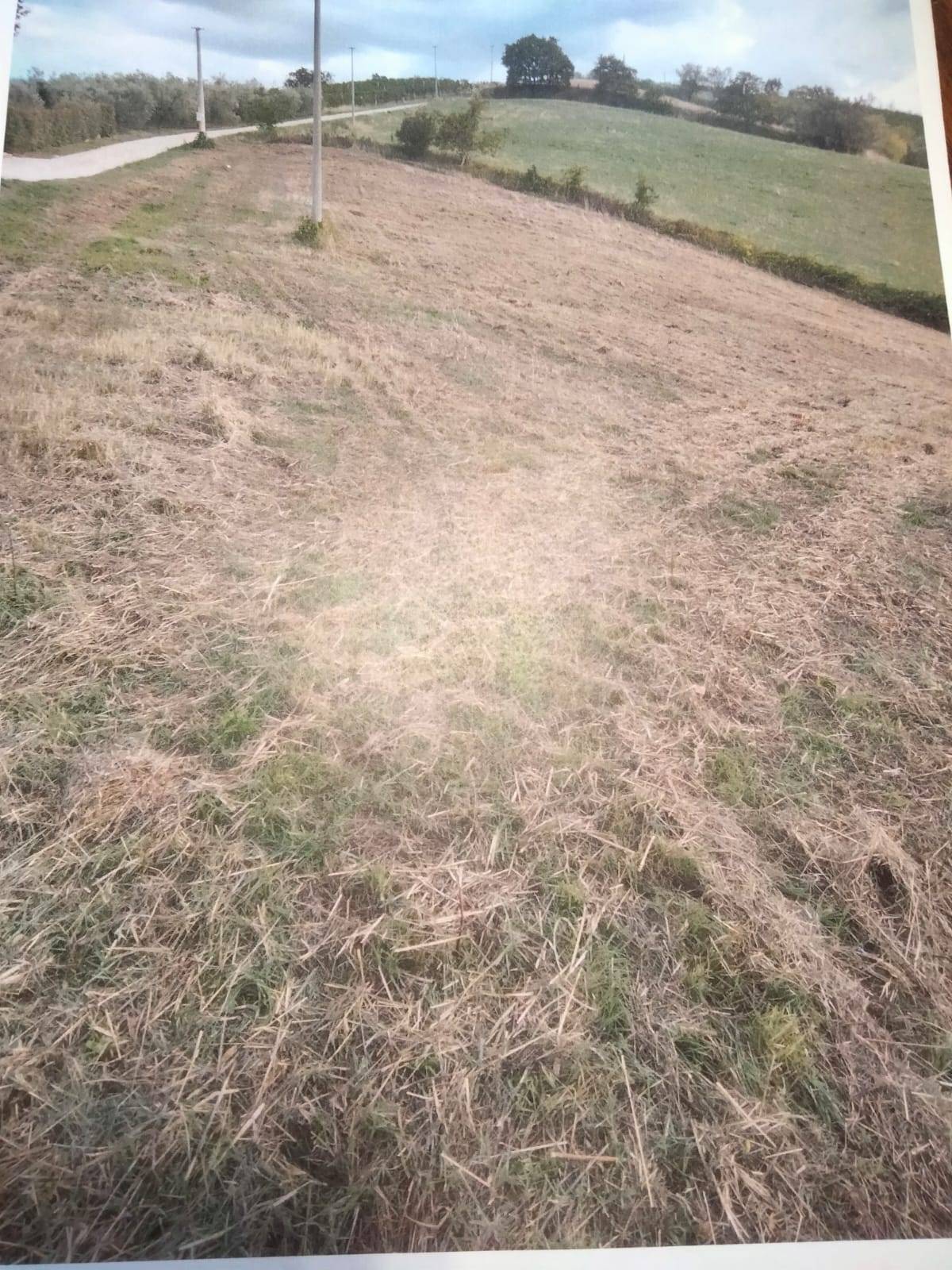 Terreno edificabile in vendita a Castorano