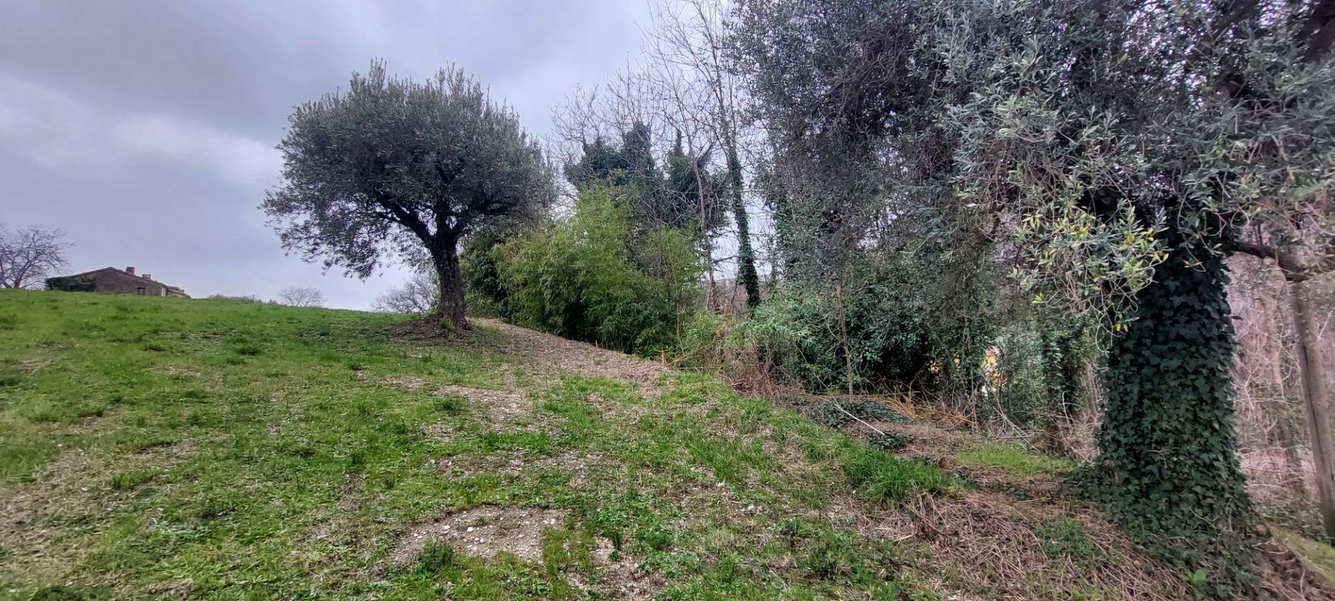 Casa colonica in vendita a Folignano, Piane di Morro