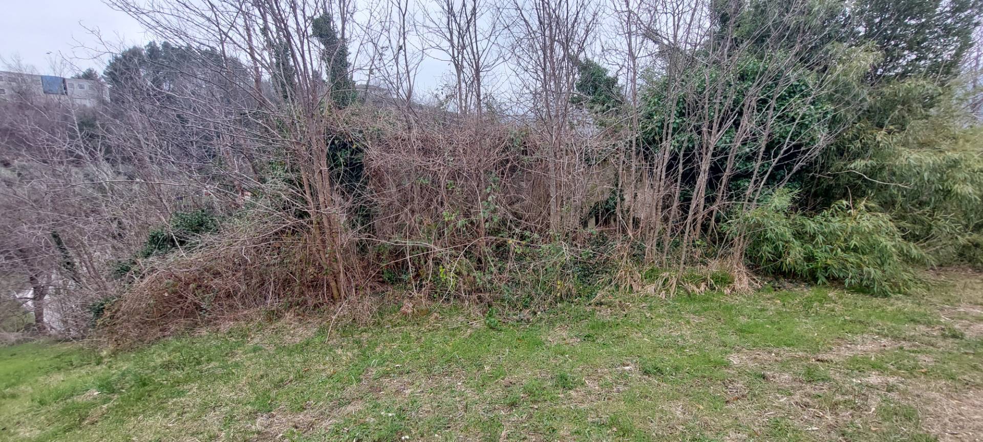 Casa colonica in vendita a Folignano, Piane di Morro