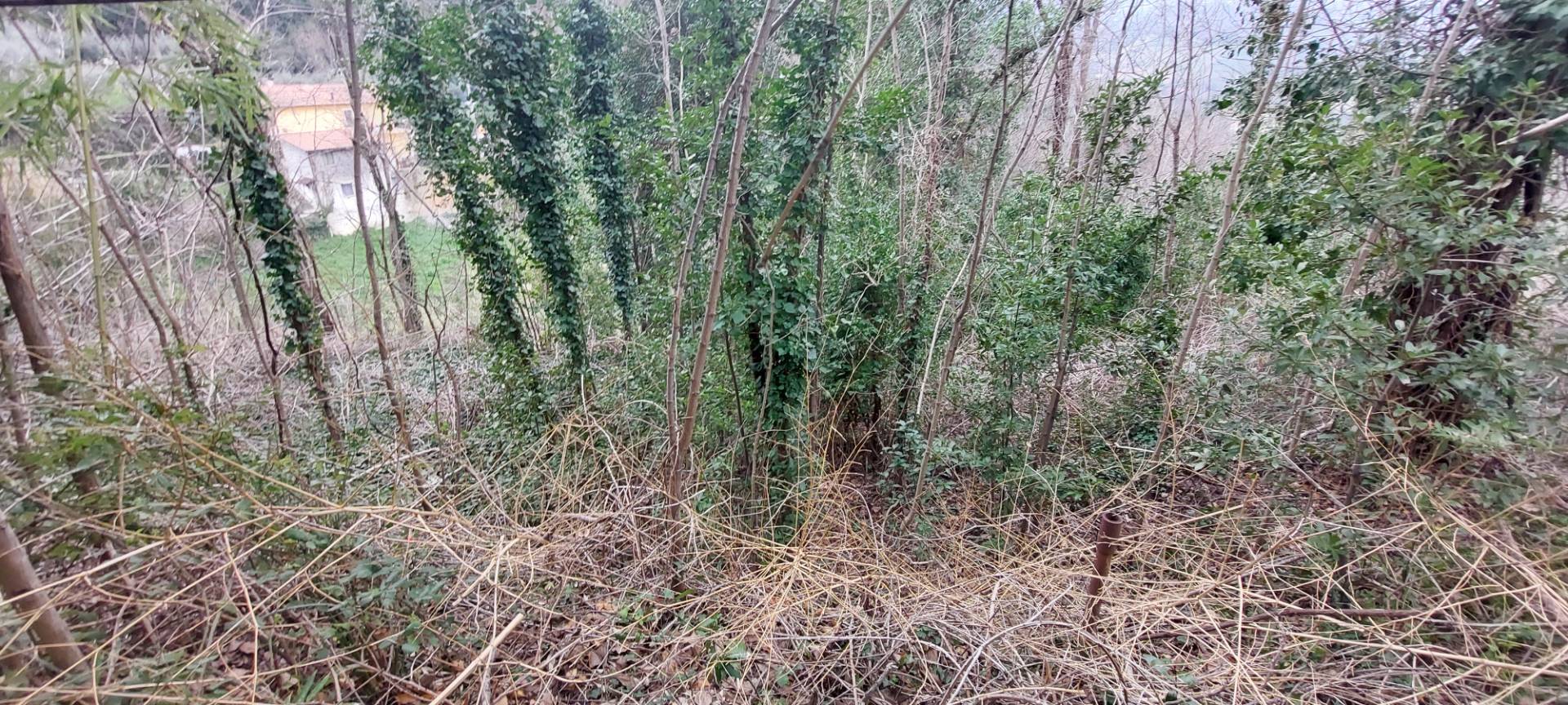 Casa colonica in vendita a Folignano, Piane di Morro