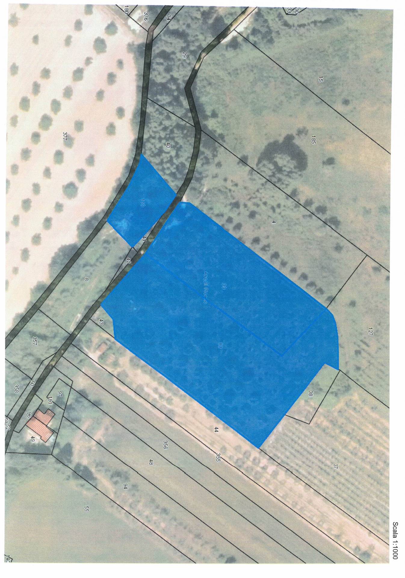 Terreno Agricolo in vendita a Ascoli Piceno, Campolungo