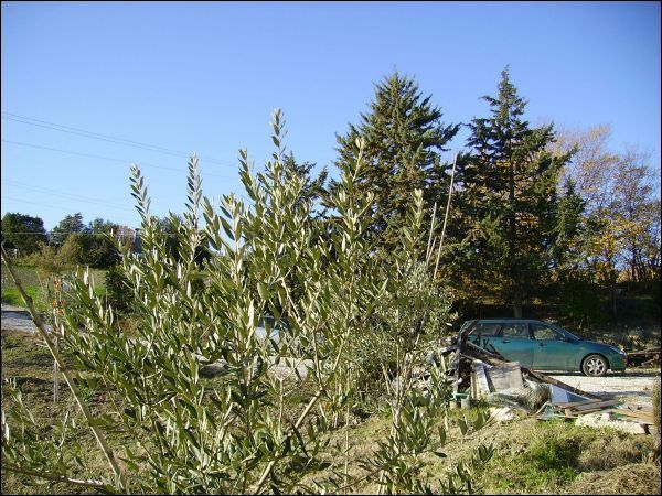 Casa colonica in vendita a Ascoli Piceno, Poggio di Bretta