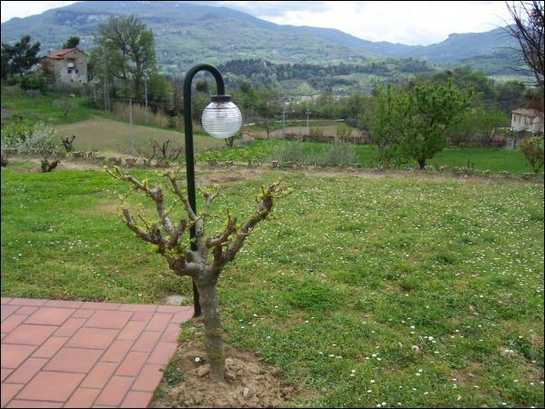 Casa indipendente in vendita a Ascoli Piceno, P.ta Cappuccina