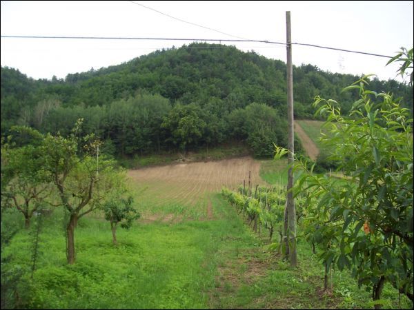 Casa indipendente in vendita a Roccafluvione