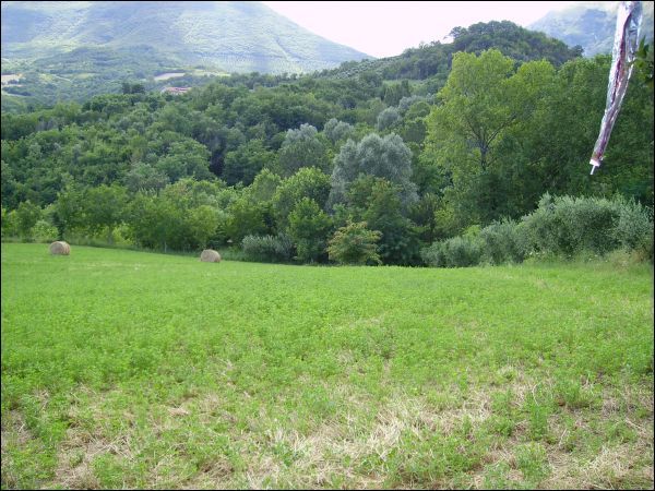 Agricolo in vendita a Civitella del Tronto