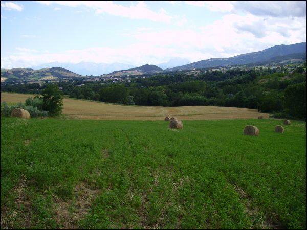 Agricolo in vendita a Civitella del Tronto